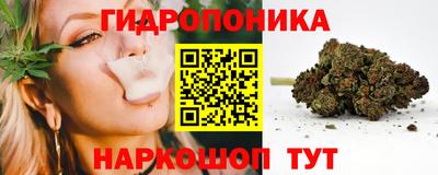 мдпв Новодвинск