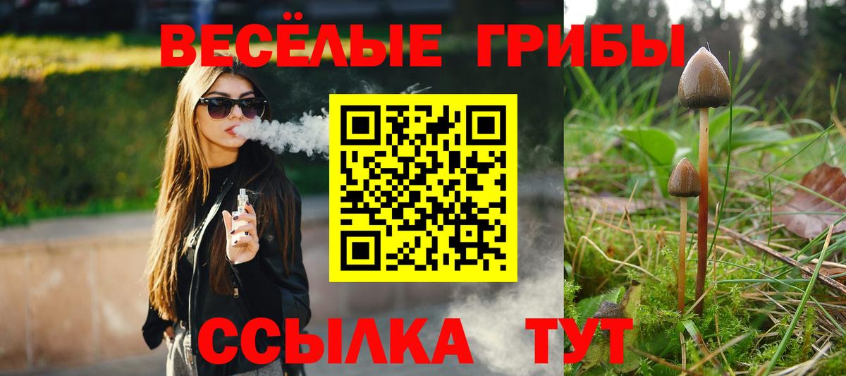 Галлюциногенные грибы Psilocybe  Вход с VPN  сколько стоит  Дагестанские Огни 