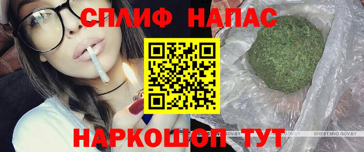 Конопля семена Дагестанские Огни